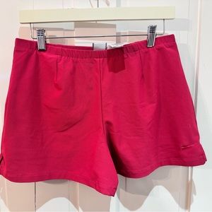 Nike DRY FIT Tennis Golf Pickle Ball shorts with built in shorts